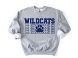 WILDCATS SWEATSHIRT(More Colors)